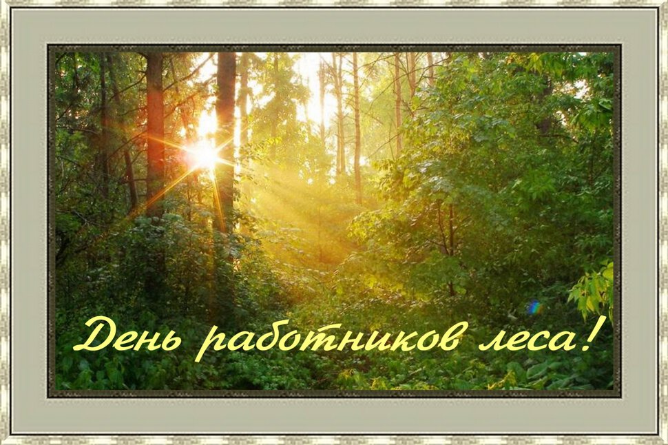 Бесплатная открытка на День работников леса