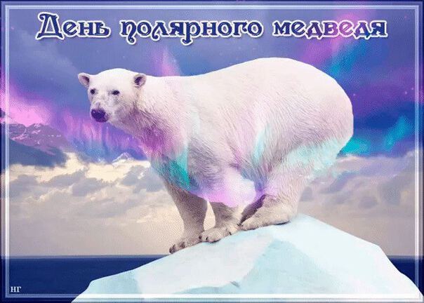 Классная открытка на День Полярного Медведя