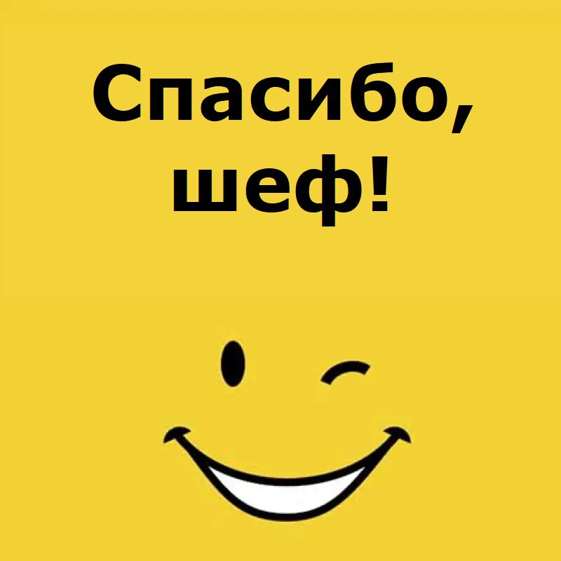 Тысяча благодарностей. Благодарность прикольная. Спасибо начальник. Спасибо прикольные. Благодарность картинки прикольные.