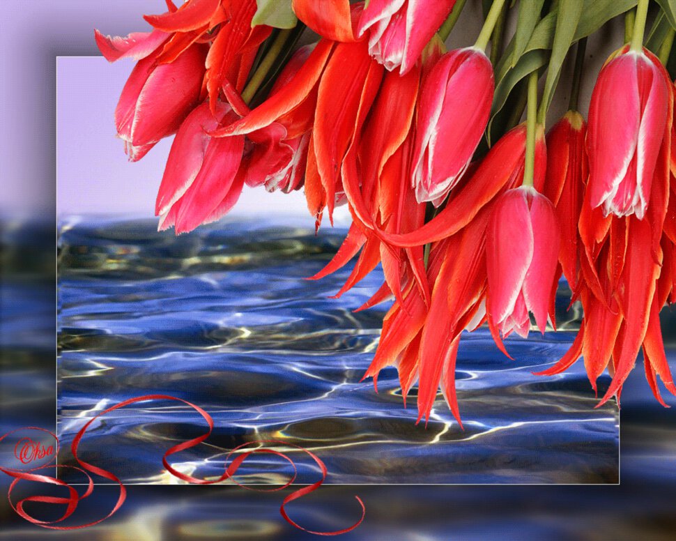 Аниммационная открытка с цветами тюльпанов