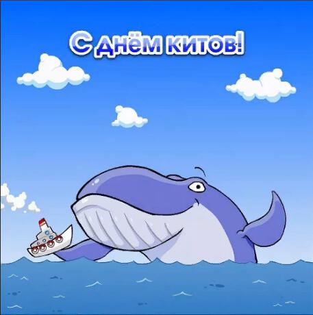 Открытка на Всемирный день китов