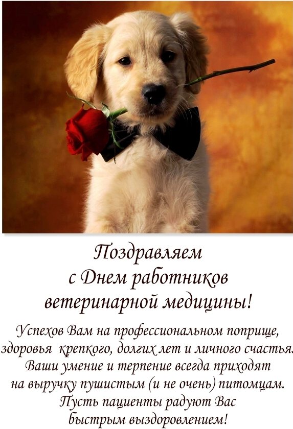 Красивая открытка на День ветеринара