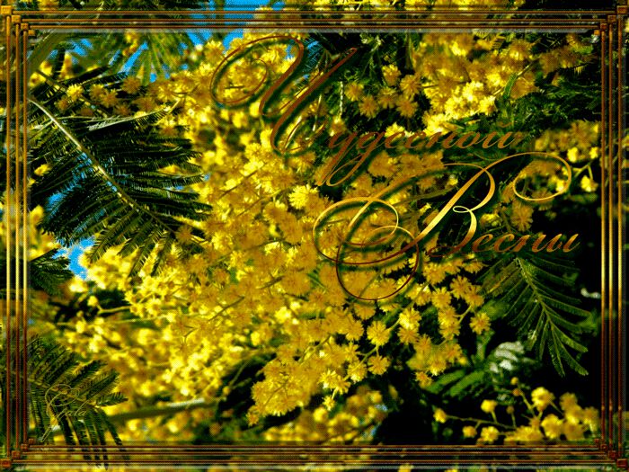 Пожелание Чудесной весны с желтыми цветами