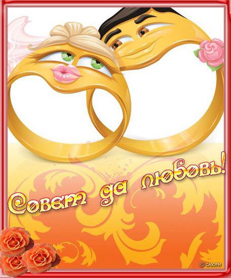 Веселая открытка на свадьбу с влюбленными кольцами