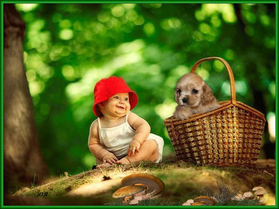 Малыш в лесу с щенком. Гиф