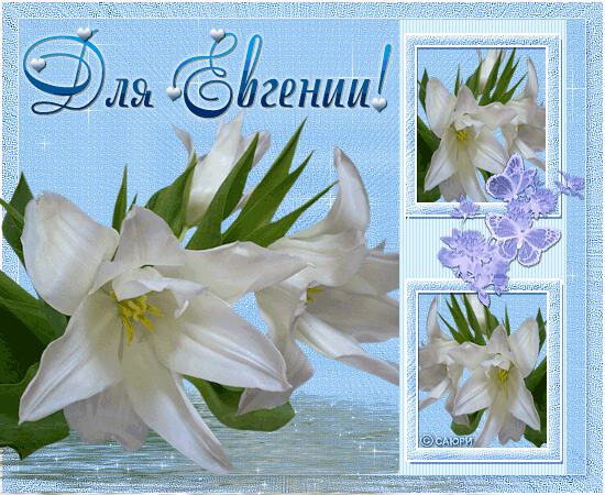 Гиф открытка для Евгении с цветами