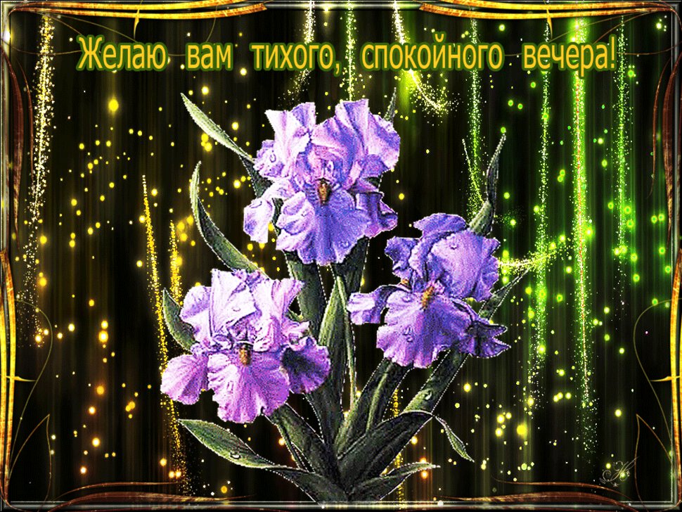 Красивые гифы с пожеланиями