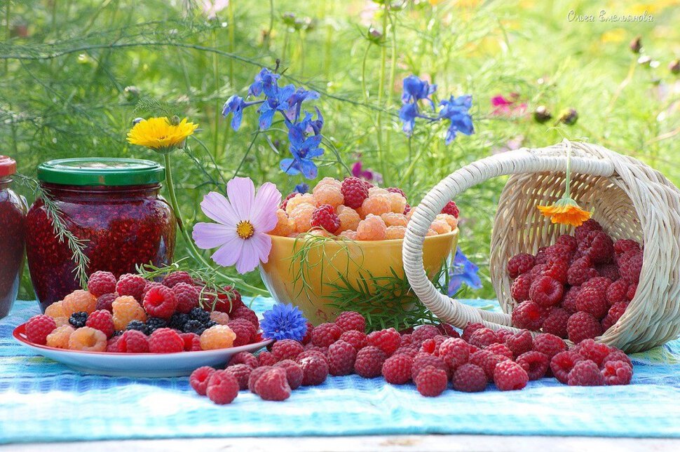 Летняя открытка с урожаем ягод