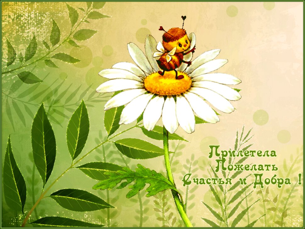 Гиф открытка с пожеланиями счастья и добра