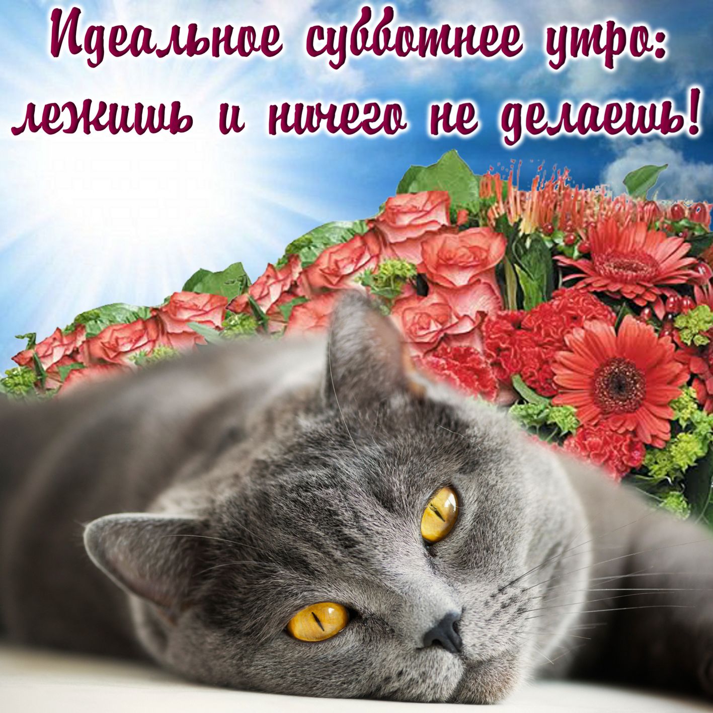 Суббота картинки. Доброе субботнее утро. Поздравление с субботой. Пожелания с добрым субботним утром. С добрым субботним утром и хороших выходных.