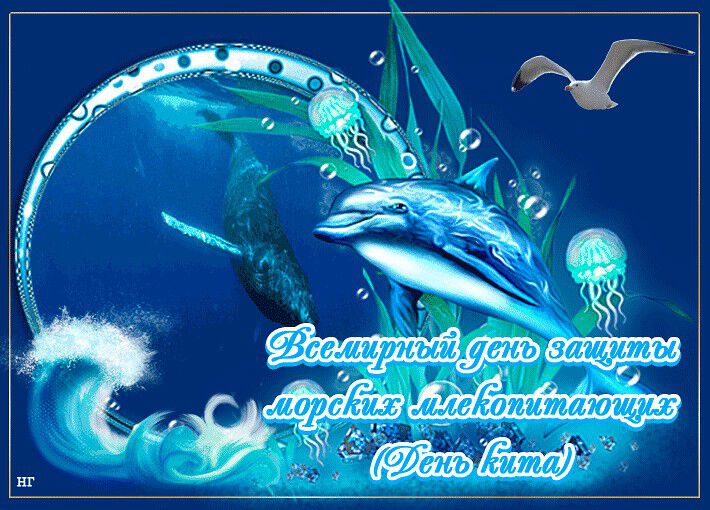 Скачать интересную открытку на Всемирный день китов