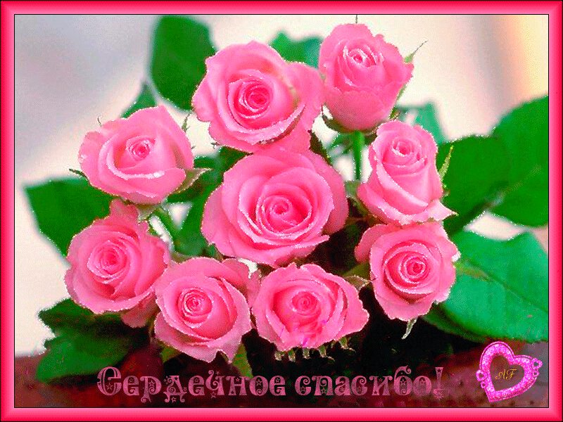 Букет нежных роз в розовой рамке с благодарностью