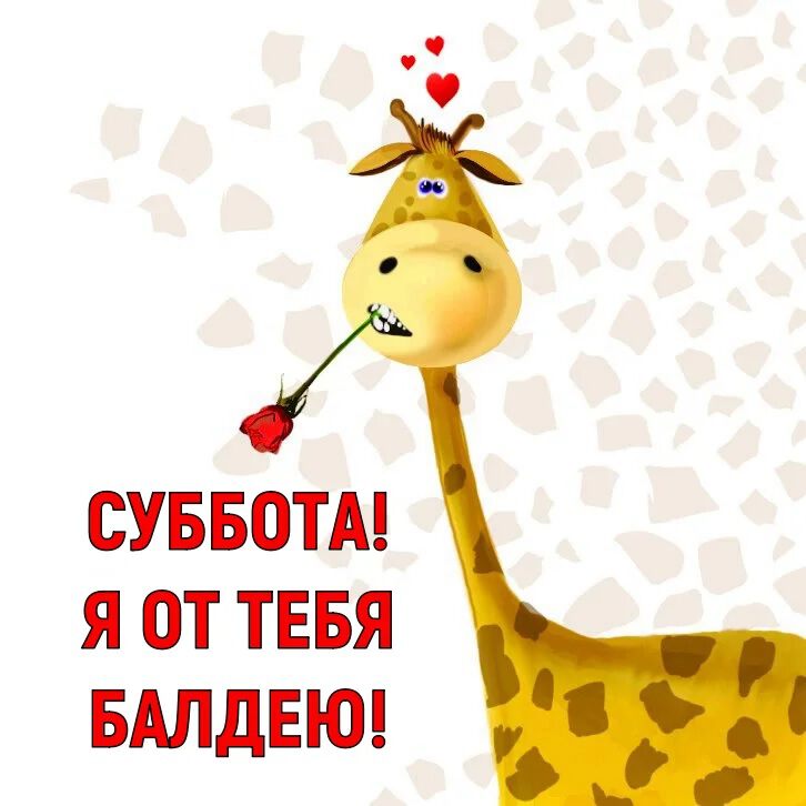 Крутая открытка про Субботу со смешным жирафом