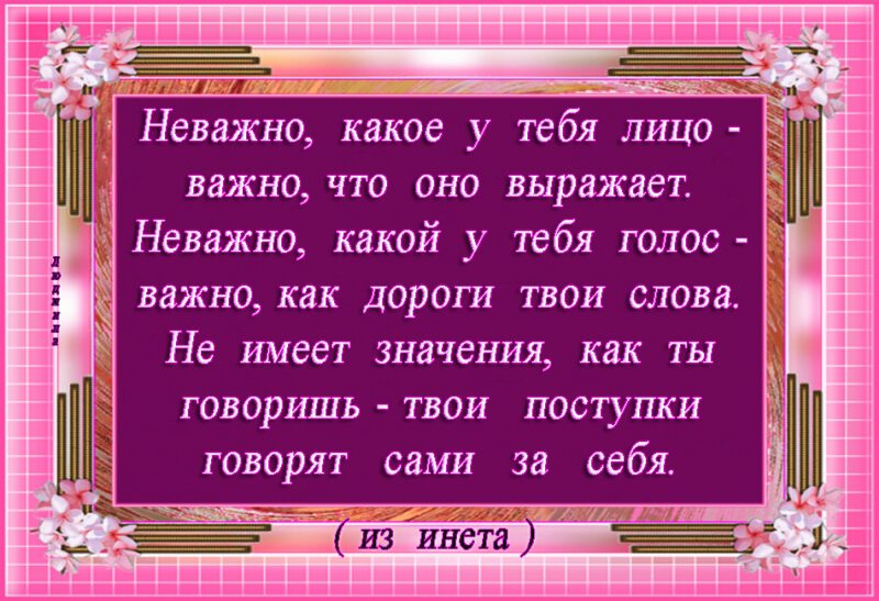 Мудрые слова о важном в розовой рамке