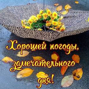Плохая погода открытки и красивая картинка поздравление скачать