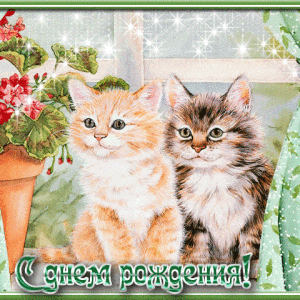Открытки смешные котята и красивая картинка поздравление скачать