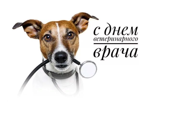Простая открытка на Международный день ветеринара