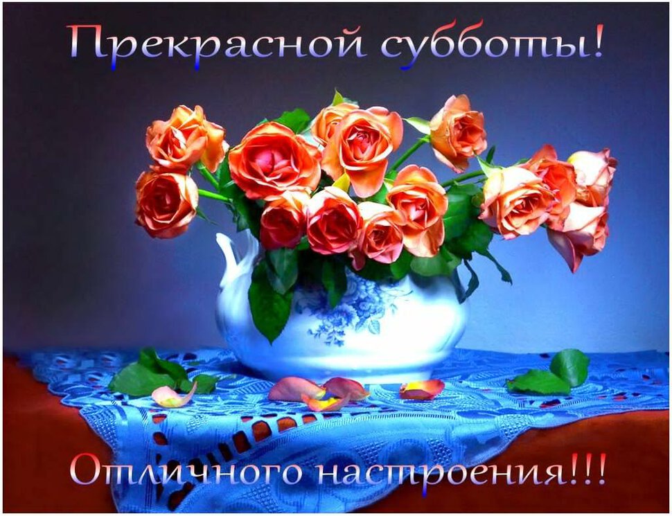 Скачать нестандартную открытку про Субботу