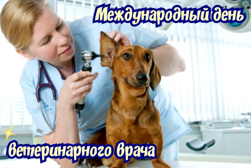 Международный день ветеринарного врача открытка