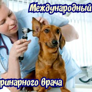 Милая открытка на Международный день ветеринара