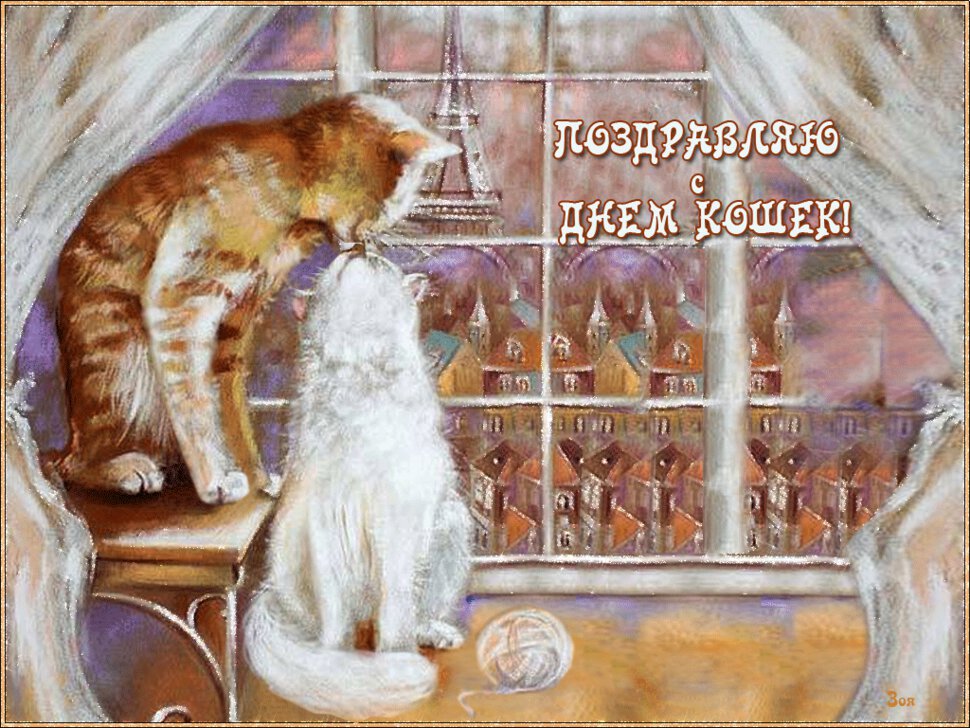 Бесплатная гиф открытка на День Кошек