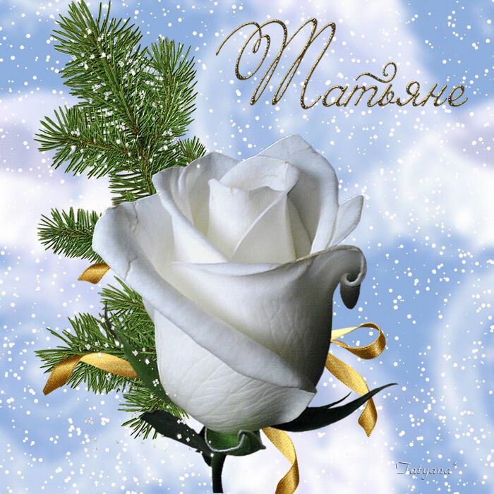 Анимационная открытка Татьяне с белой розой