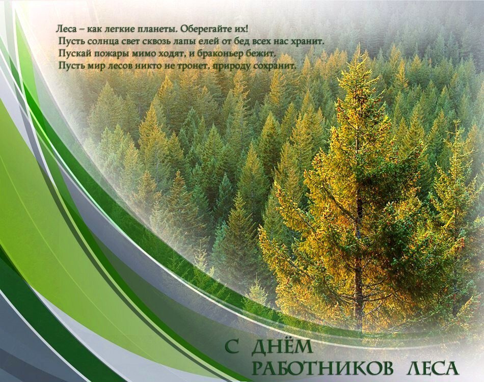 Бесплатная виртуальная открытка на День работников леса