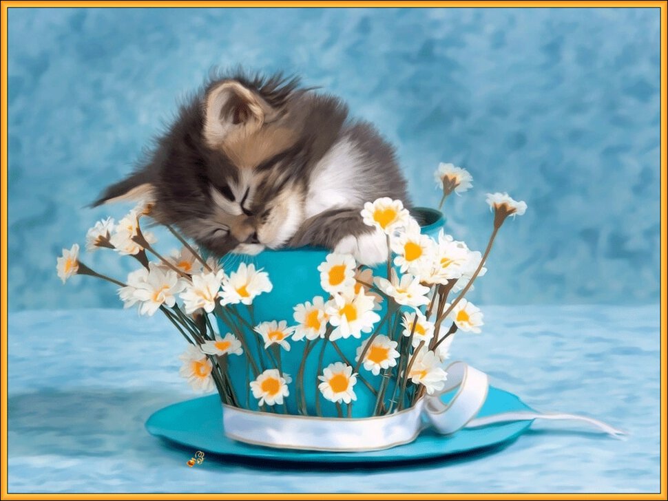Открытка милый котенок в чашке с ромашками