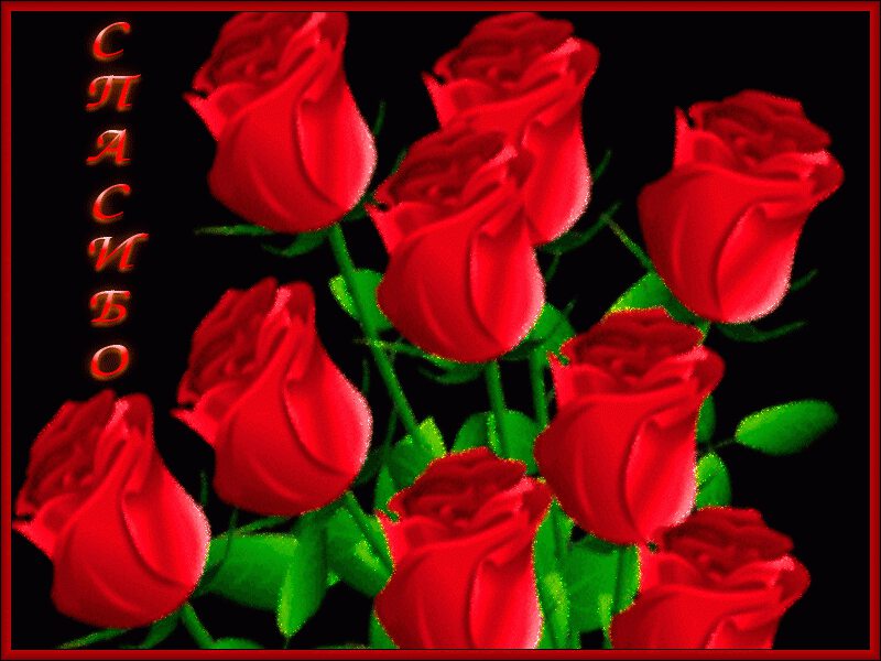 Открытка Девять алых роз в рамке с благодарностью