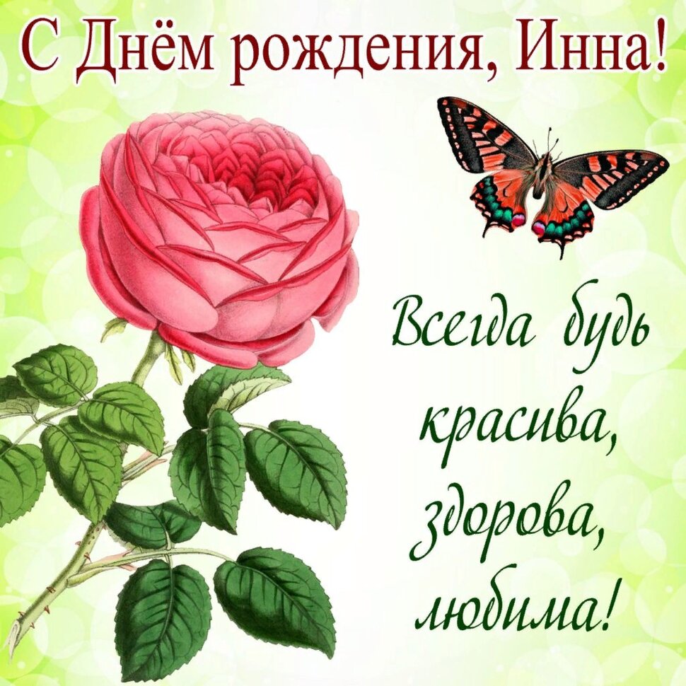С Днем рождения, Инна! Роза с бабочкой