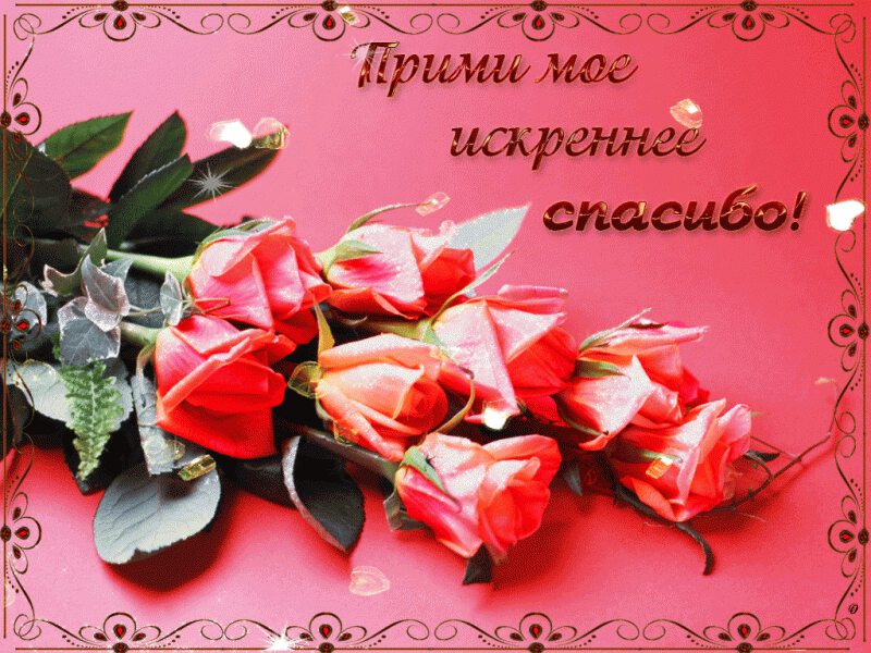 Букет из розовых роз с искренней благодарностью