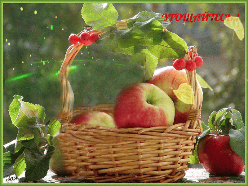 Теплого августовского дня. Хорошего дня яблоки. Доброе августовское утро. Доброго августовского дня. Добрый день с яблоками.