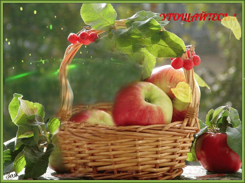 Открытка с корзиной яблок для угощения