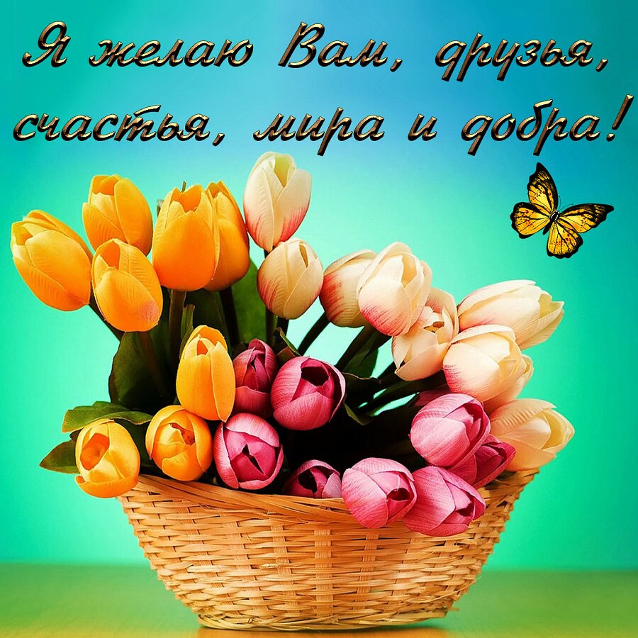 Пожелание счастья, мира, добра друзьям с тюльпанами