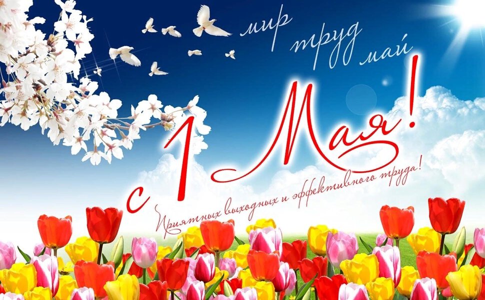 Бесплатная открытка на 1 мая с разноцветными тюльпанами