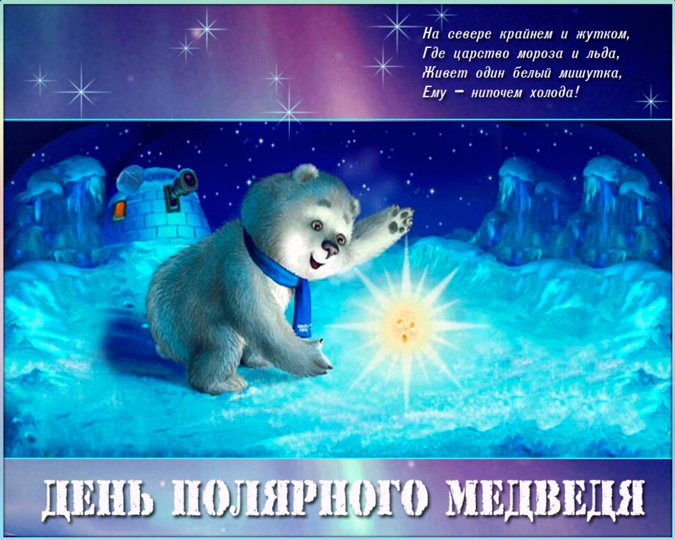 Гиф открытка на День Полярного Медведя