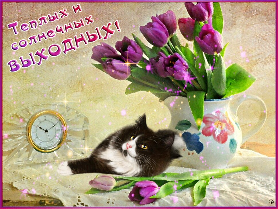 Гифка с котом, цветами и пожеланием хороших выходных