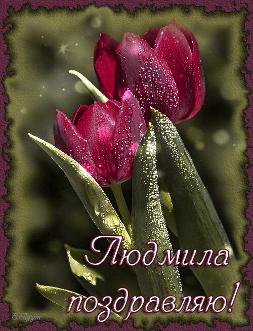 Красивая открытка с Днем Рождения Людмиле с тюльпанами