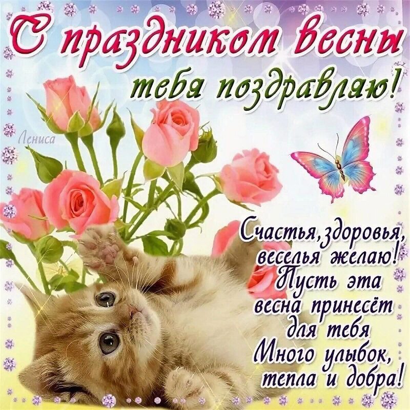 Поздравление с праздником весны с котиком и цветами
