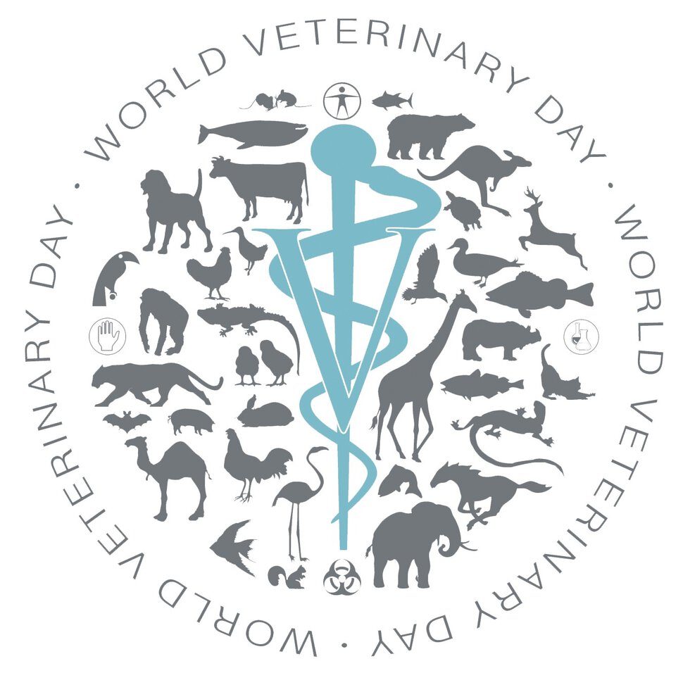 Необычная открытка на Международный день ветеринара