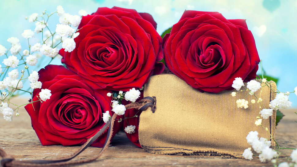 Окрытки с изображением цветов розы