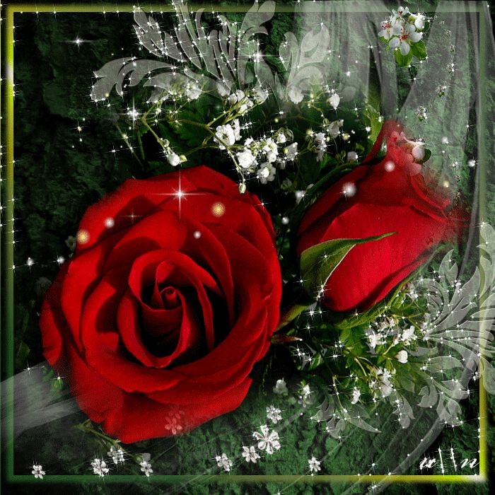 Анимацияонная открытка с красными розами