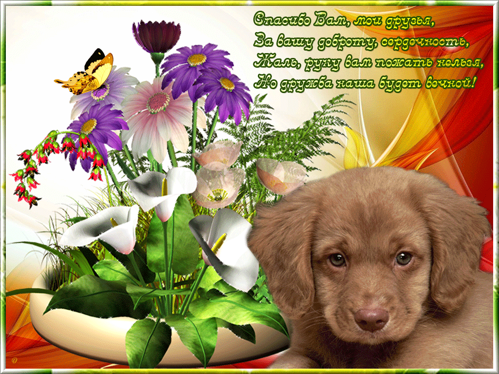Красивые открытки для друзей. Открытка "другу!". Открытки с благодарностью друзьям. Поздравительные открытки с собаками.