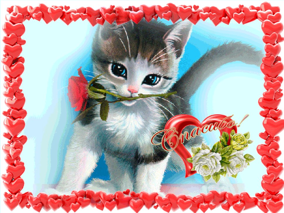 Гиф открытка спасибо с милым котенком
