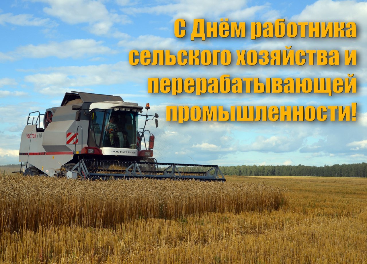 С днем сельского хозяйства. С днем работника сельского хозяйства. С днем сельского хозяйства и перерабатывающей промышленности. Дню работника сельского хозяйства и перерабатывающей промышленности. Какого день сельского хозяйства. С днем сельского хозяйства. С днем работника сельского хозяйства. С днем сельского хозяйства и перерабатывающей промышленности. Дню работника сельского хозяйства и перерабатывающей промышленности.