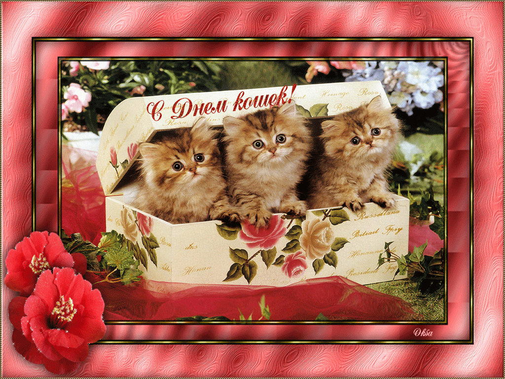 Открытка с котами поздравления. День кошек. День кошек открытки. Поздравительные открытки с кошками. Открытка кошки с днём рождения.