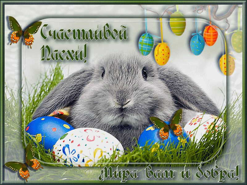 Мерцающая открытка на Пасху с кроликом и яйцами