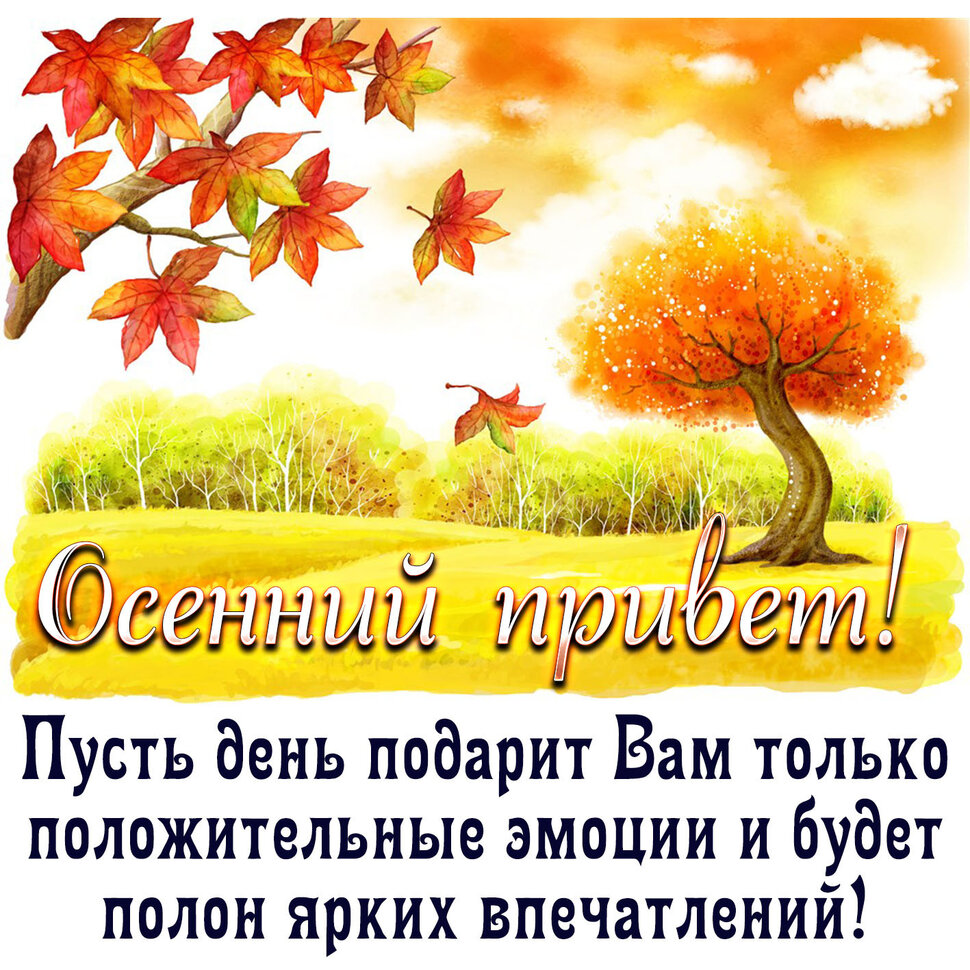 Красочная открытка с Приветом и Осенними Пожеланиями