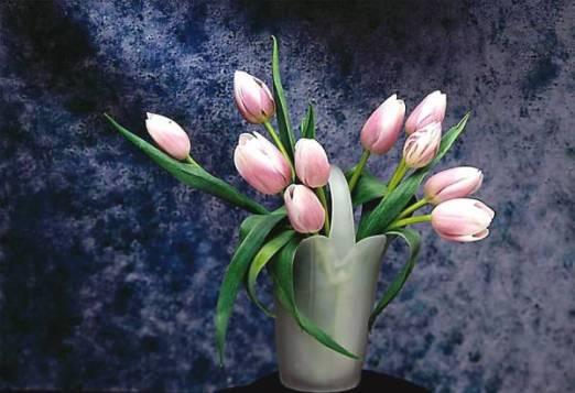 Открытка с изображением букета тюльпанов