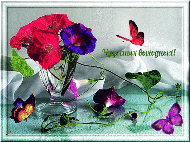 Открытка с цветами и бабочками в рамке